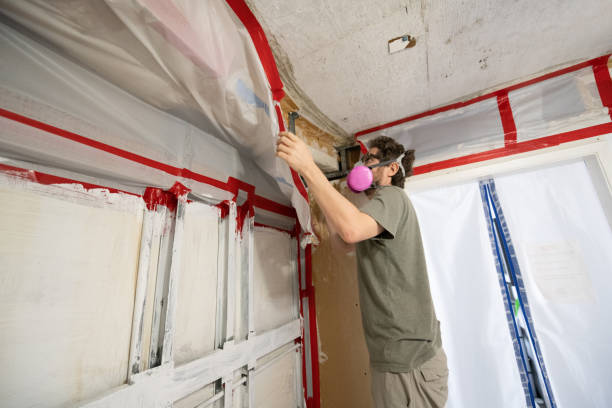 Best Emergency Mold Remediation  in Barboursville, WV